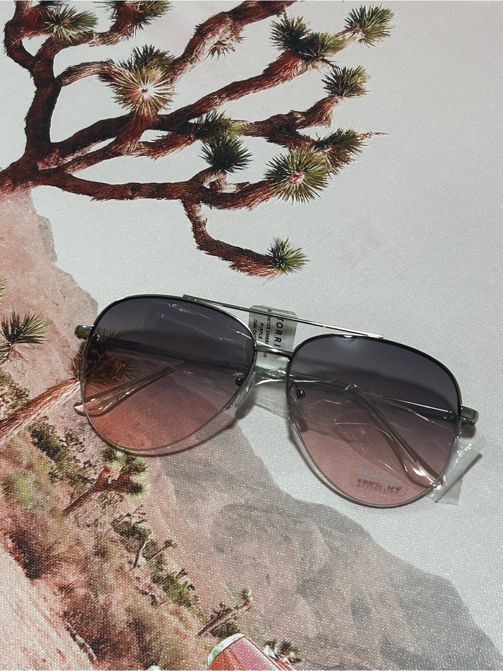 NWT- TORRID  Silver Frame Sunglasses Ombré  Lenses- aviator style